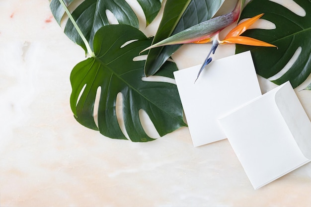 사진 스타일이 지정된 여름 결혼식 데스크탑 편지지 모형 빈 인사말 및 초대 카드 빈 공간이 있는 녹색 열대 잎