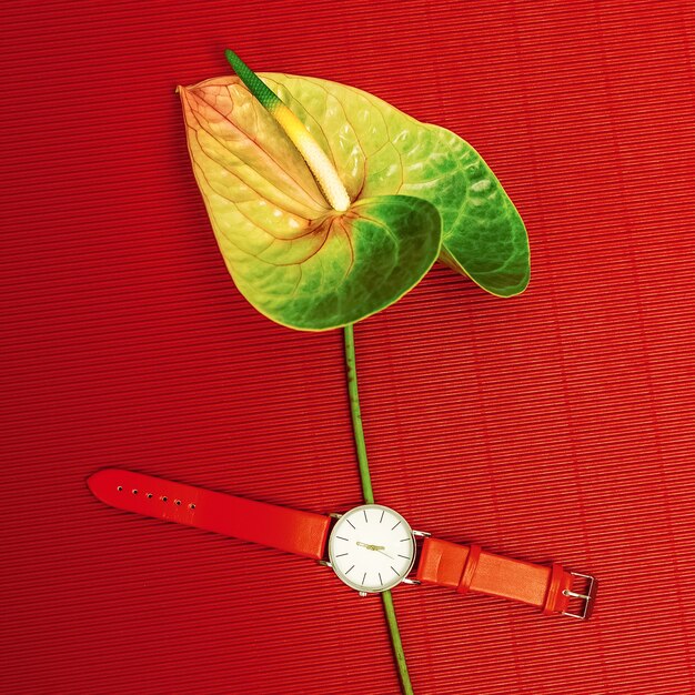 Stylish accessory red clock. Minimalism design fashion