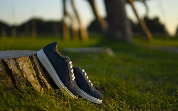 Stylish blue sports shoes with background in the green park