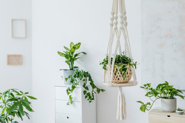 Stylish and boho home interior of open space with wooden desk, chair, lamp and white shelf. Design and elegant personal accessories. Botany and minimalistic. home decor. Abstract painting on the wall