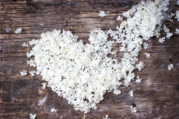 Stylish border of white flowers. White petals in form heart spilling from a glass on woode