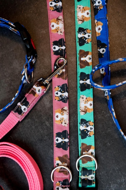 Stylish, bright and comfortable collar from pet shop for obedient dog, cat or other pets and domesti
