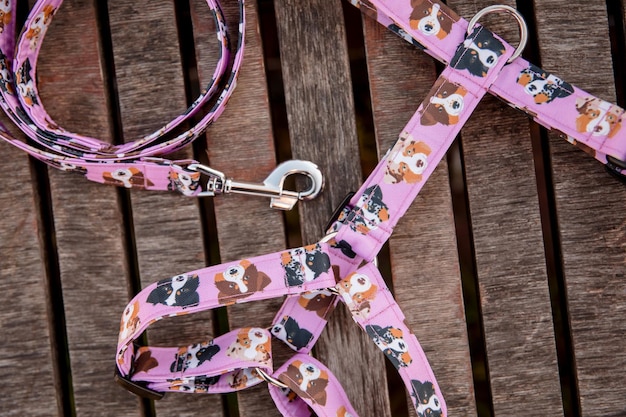 Stylish, bright and comfortable collar from pet shop for obedient dog, cat or other pets and domesti