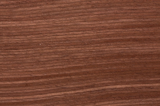 Stylish brown veneer texture for your expensive new project