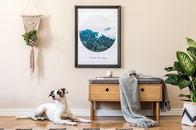 Stylish composition of cozy and modern hall/living room interior design with frame, wooden commode, plaid, plant, dog and boho accessories. Beige walls, parquet floor.