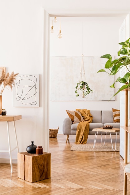 회색 소파, 커피 테이블, 식물, 카펫, 개 및 아름다운 액세서리가있는 창의적이고 아늑한 넓은 아파트 인테리어의 세련된 구성. 흰 벽과 쪽모이 세공 마루 바닥.
