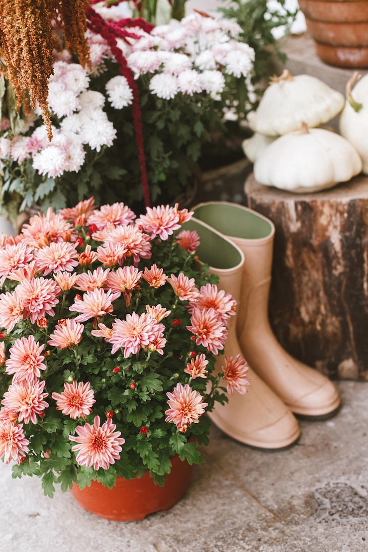 Photo stylish decoration in fall season of farmhouse entrance beautiful autumnal moms flowers pumpkins rubber boots and wood autumn decor of house entrance