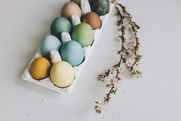 Stylish Easter eggs and cherry blossoms on rustic white wooden background Happy Easter