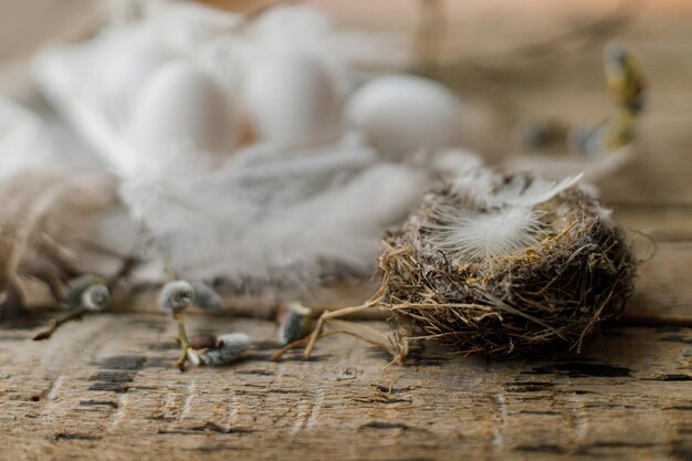 Stylish easter rustic still life nest with feathers willow and\
natural eggs on table