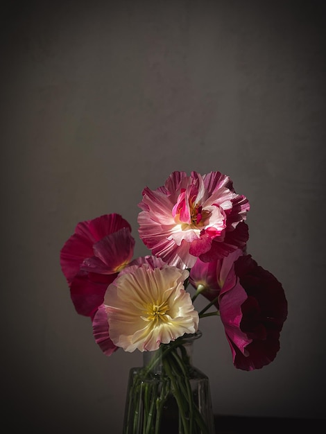 Stylish flowers still life artistic composition Beautiful eschscholzia bouquet in sunlight on moody rustic background Floral vertical wallpaper