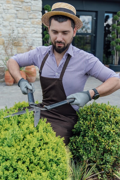 Stylish guy pruning green bushes with scissors at garden handsome gardener during job outdoors