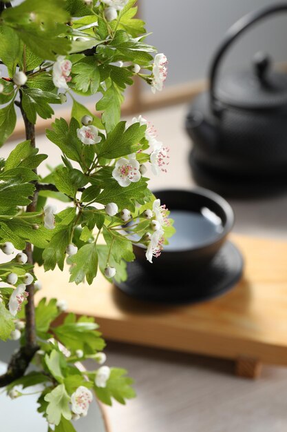 Stylish ikebana as house decor beautiful fresh branch with flowers on blurred background closeup and space for text