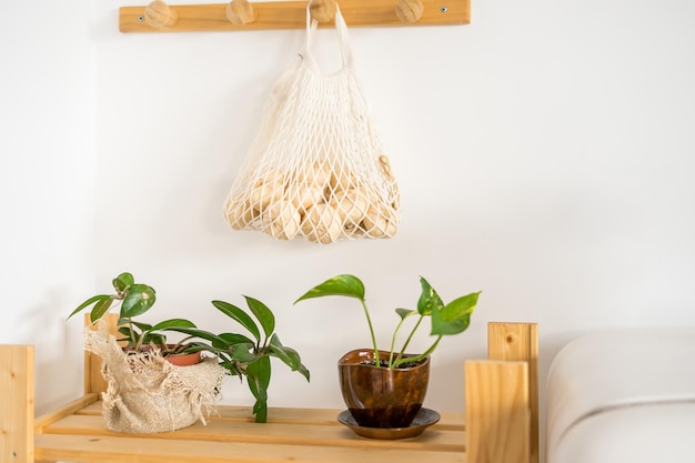 Stylish kitchen interior with green plants. Home decoration. High quality photo