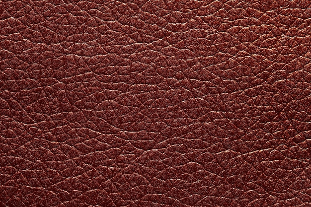 Stylish lackered leatherette texture