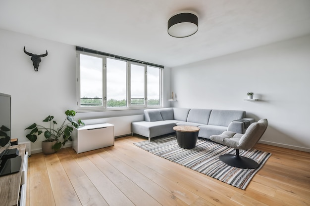 Stylish living room