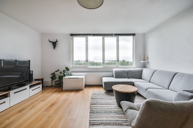 Stylish living room