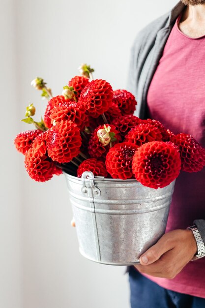 Stylish metal bucket with red dahlias