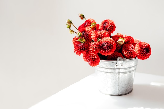 Stylish metal bucket with red dahlias