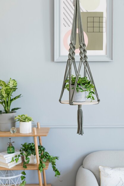 Stylish and minimalistic boho interior of living room with wooden shelf, grey sofa, design and elegant accessories, hand made macrame shelf planter hanger. Botany and home decor with a lot of plants.