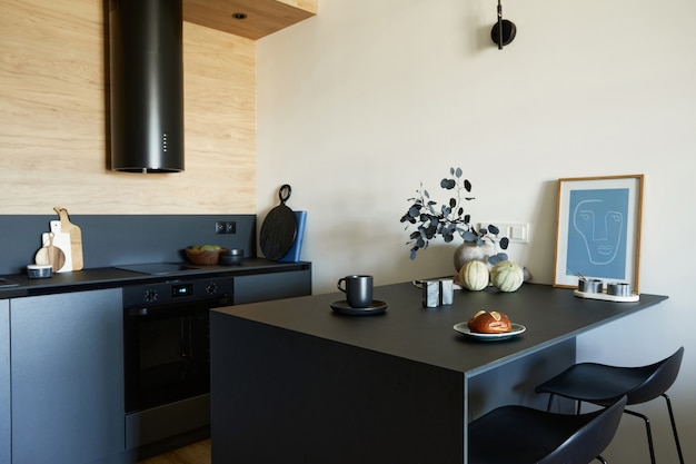 Stylish modern small kitchen interior Minimalistic masculine concept Template