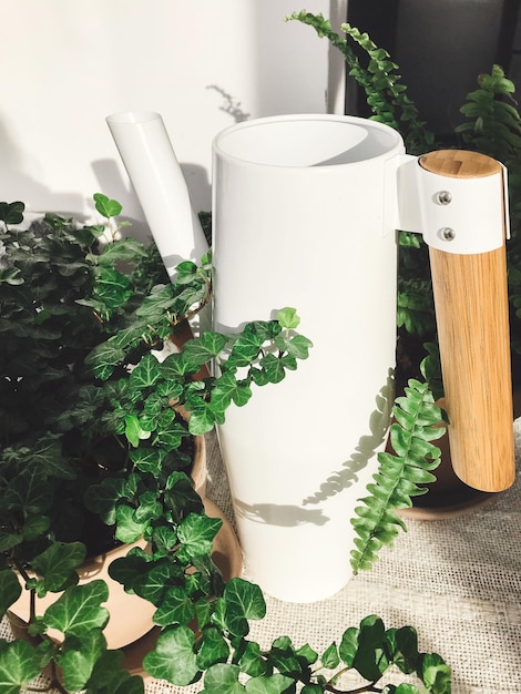 Stylish modern white watering can near green plants in sunny room Metal funnel with fern and ivy leaves Gardening concept