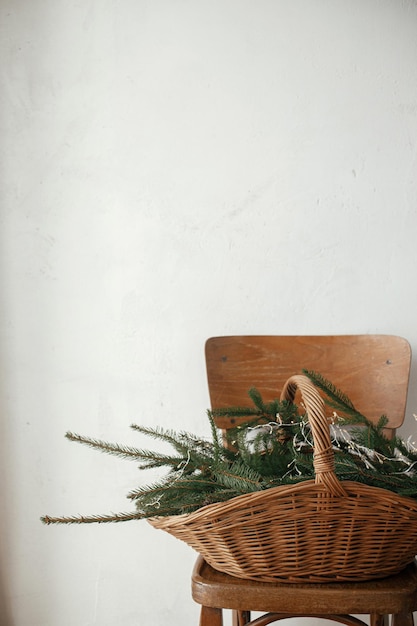 Stylish rustic basket with fir branches and lights on wooden chair against rural wall in scandinavian room Merry Christmas and Happy holidays Christmas rustic still life