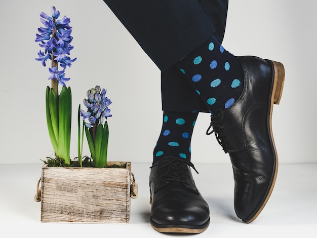 Фото Стильная обувь, яркие носки и растения