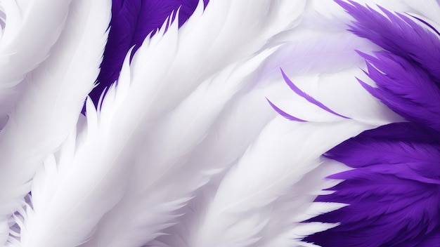 Фото Стильный белый и фиолетовый фон с мягкими перьями