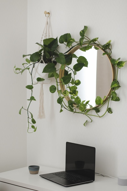 사진 탁자 위에 노트북이 있고 그 위에 식물이 있는 둥근 거울이 있는 집의 세련된 직장