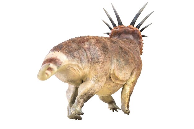 Фото Динозавр-стиракозавр на изолированном фоне