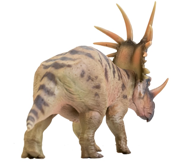 Styracosaurus-dinosaurus op geïsoleerde achtergrond