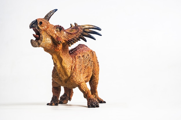 흰색 배경에 Styracosaurus