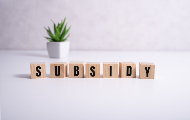 Субсидия - слово на деревянных кубиках на белом.