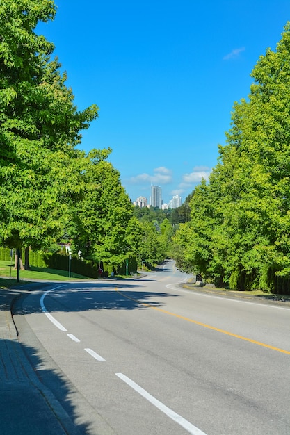 Photo suburban road curve leading to a city