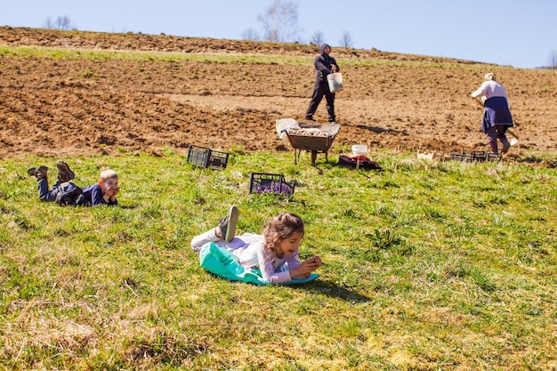 Successful farming is a hard family business