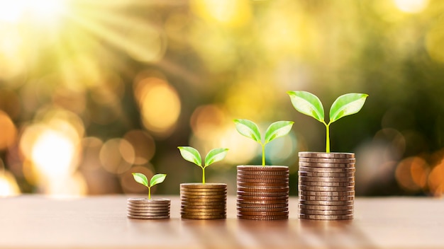 Successful finance and investment concept with trees growing on coins and blurred green nature background.