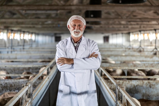 A successful veterinarian in coat standing in a stable surrounded by animals and looking at camera The farming industry is key for society so a veterinarian job is necessary to keep animals healthy