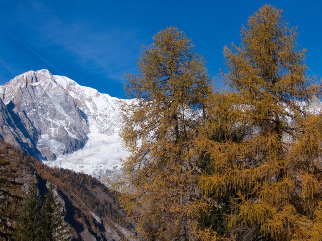 Suche courmayeur val daoste italie