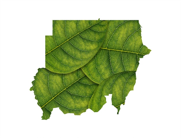 白い背景の生態学の概念に緑の葉で作られたスーダンの地図