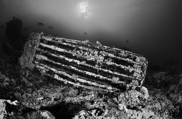 SUDAN, Red Sea, Sha'ab Rumi,U.W. photo, Cousteau Precontinent 2 structure, used in 1960 to study sharks behavior - FILM SCAN