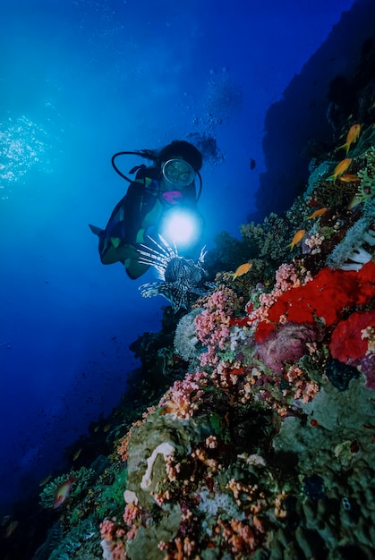 СУДАН, Красное море, фото U.W., рыба-скорпион (Pterois radiata) и водолаз