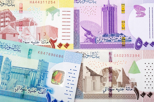 Sudanese money a business background