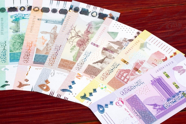 Sudanese pound a business background