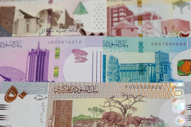 Photo sudanese pound a business background