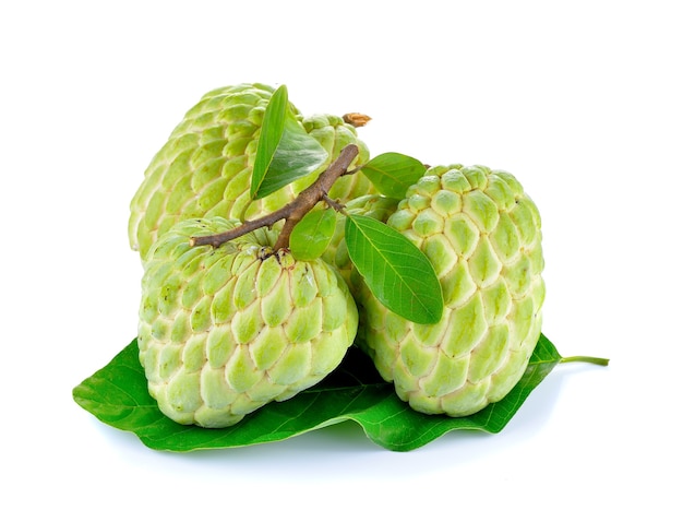 Sugar Apple fruit isolated