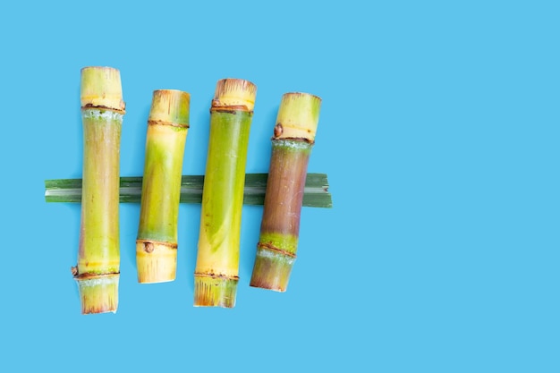 Sugar cane on blue background