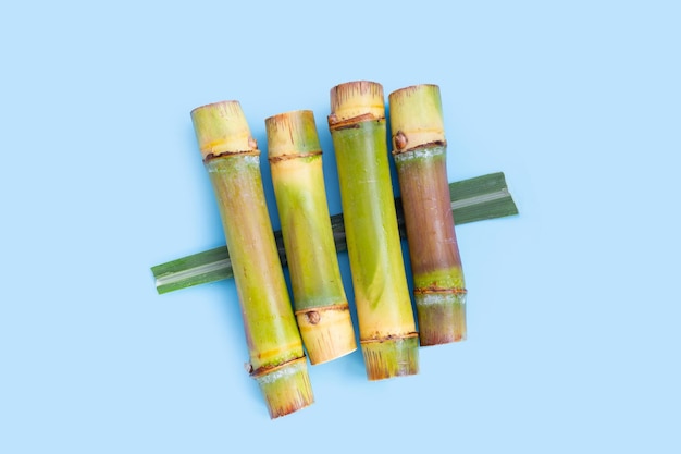 Photo sugar cane on blue background