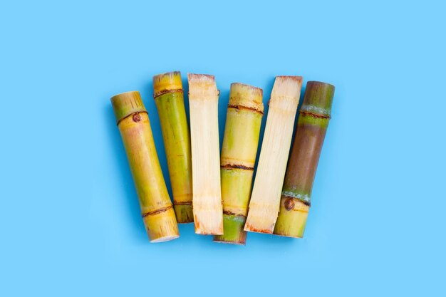 Sugar cane on blue background