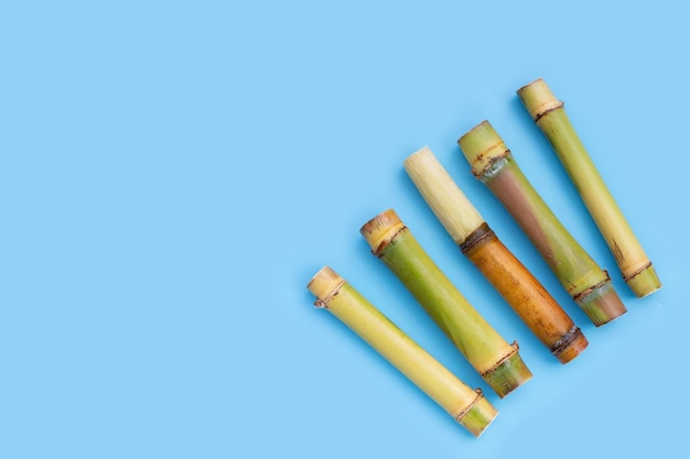 Sugar cane on blue background