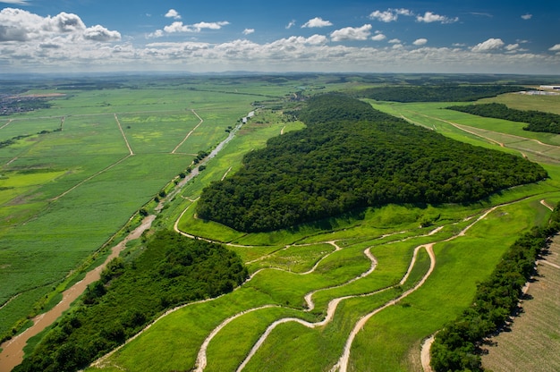 Sugar cane cultivation and remnants of Atlantic forest in Goiana near Recife Pernambuco Brazil